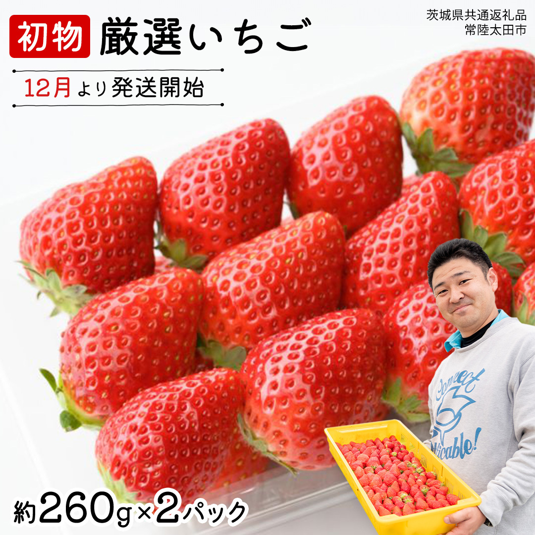 【 先行予約 】 初物 厳選いちご ( 2パック ×1箱 )【12月発送】( 茨城県共通返礼品 : 常陸太田市 ) いちご 数量限定 果物 くだもの フルーツ 苺 イチゴ ストロベリー 旬 厳選 いばらキッス ひた
