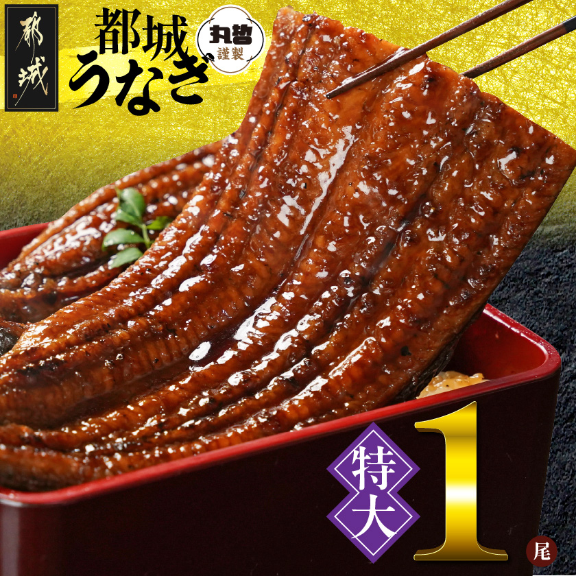 宮崎県育ちの【特大】うなぎ蒲焼1尾210g以上≪山椒・たれ付≫_11-M301宮崎県都城市11000魚介・海産物うなぎ
