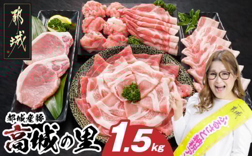 「高城の里」わくわく1.5kgセット(真空)_12-8408-s宮崎県都城市12000肉豚肉