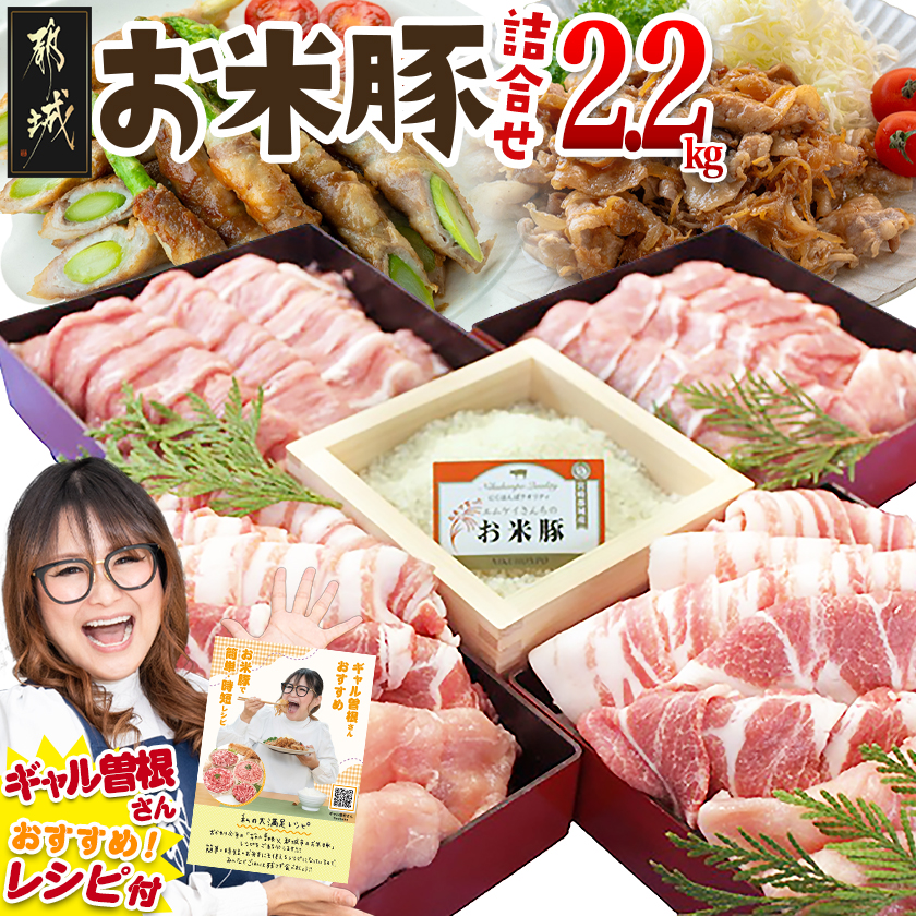 お米豚2.2kgセット_14-3101宮崎県都城市14000肉豚肉