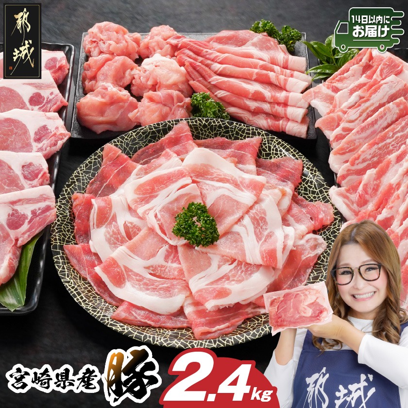 宮崎県産豚わくわく2.4kgセット(真空)≪みやこんじょ快速便≫_14-8406-s-R宮崎県都城市14000肉豚肉