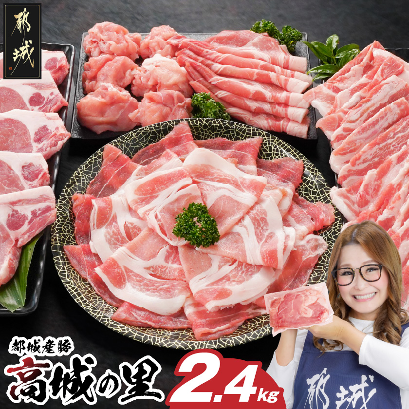 u̗v킭킭2.4kgZbg(^)_16-8401-s{茧ss16000ؓ