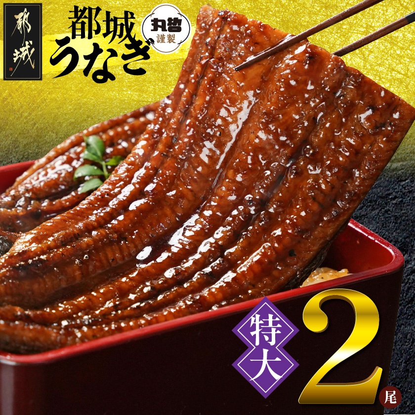 宮崎県育ちの【特大】うなぎ蒲焼2尾440g以上≪山椒・たれ付≫_18-M301宮崎県都城市18000魚介・海産物うなぎ
