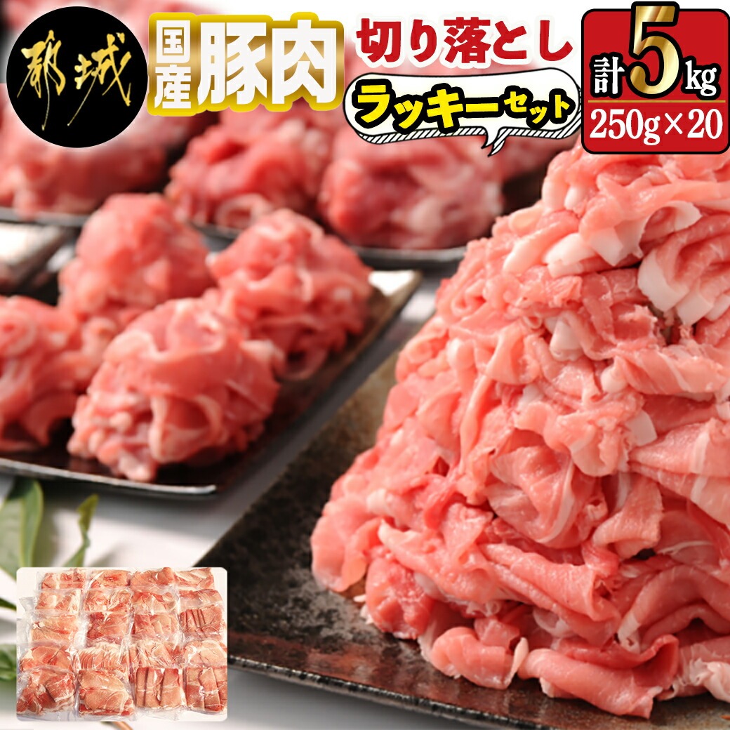 国産豚肉切り落とし5kgラッキーセット_19-3601宮崎県都城市19000肉豚肉