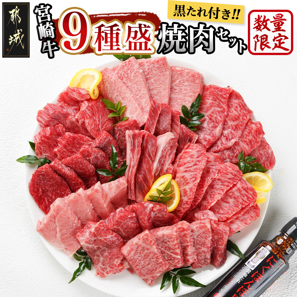 【数量限定】宮崎牛9種盛り焼肉セット_22-3101宮崎県都城市22000肉牛肉