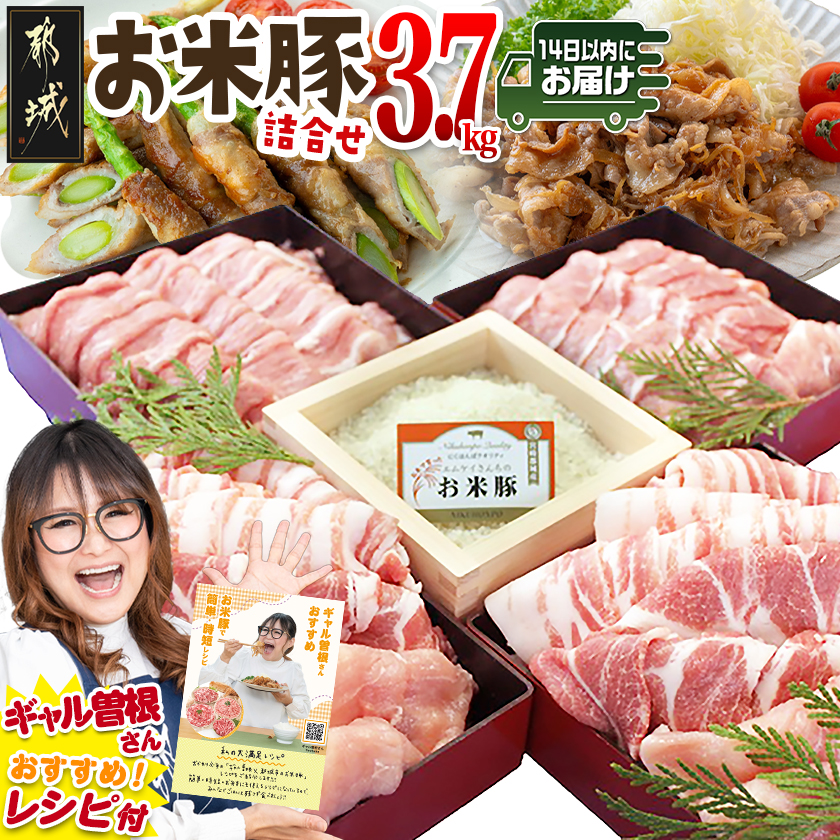 ē3.7kgZbg݂₱񂶂ց_23-3101-R{茧ss23000ؓ