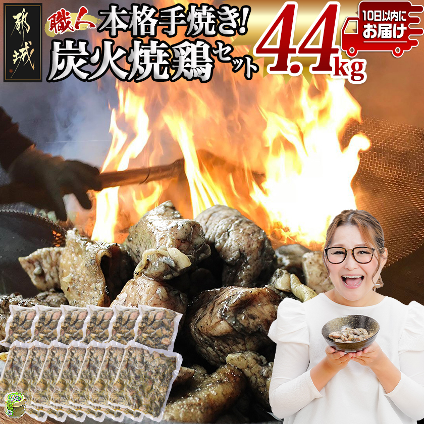 本格手焼き!炭火焼鶏4.4kg(ゆずこしょう付)≪みやこんじょ特急便≫_AC-1411-Q宮崎県都城市20000肉鶏肉