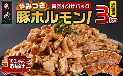 やみつき豚ホルモン!3kg!真空小分けパック!≪みやこんじょ特急便≫_LG8-3303-Q宮崎県都城市9800肉加工肉(ハム・ソーセージ等)