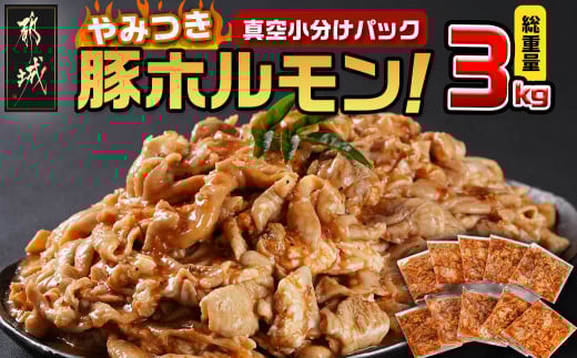 やみつき豚ホルモン!3kg!真空小分けパック!_LG8-3303宮崎県都城市9800肉豚肉