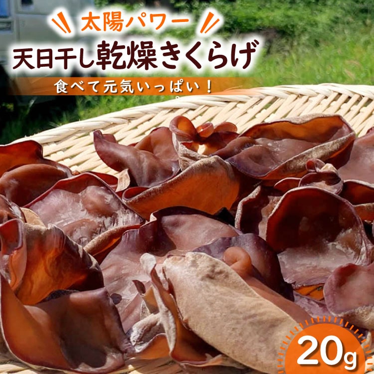 yzp[zV炰 20g [R񂫔_ R Bs 20742269]RBs4000؁Ê̂