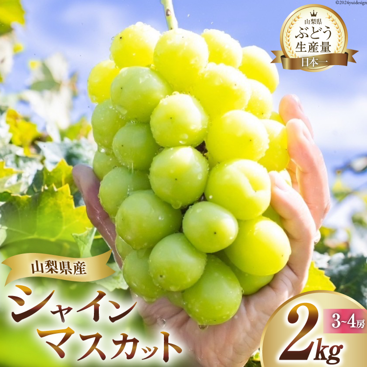 【2026年発送】先行受付 シャインマスカット 山梨 予約 約 2kg 3〜 4房 厳選 フルーツ大国 山梨県 産地直送 フルーツ 果物 マスカット シャイン 先行予約 ブドウ ぶどう 葡萄 種無し 2キロ 数量