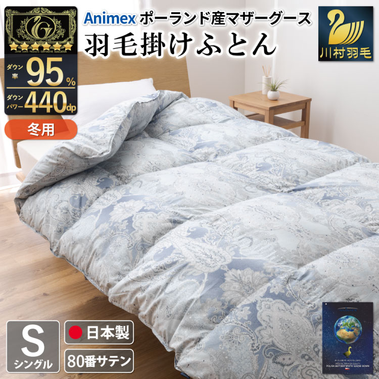 Hѕzc |zc }U[O[X_E95 yVOz 1.2kg |[hY  / 쑺H / R Bs [20743232] v~AS[hx Hъ|zc zc 440dp [ܕtRBs4