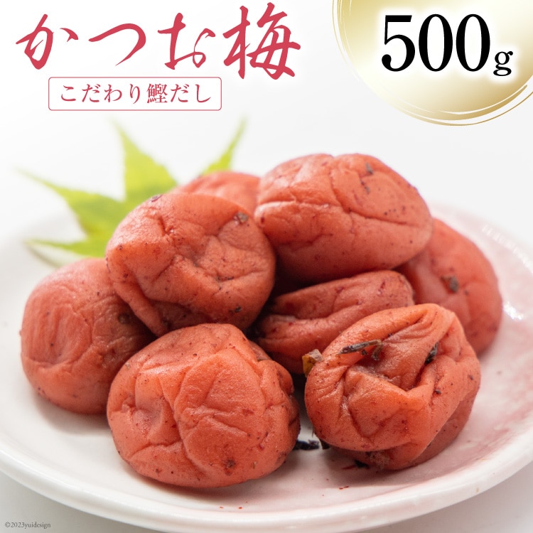 ~ ~ 500g [R_YHi R Bs 20743524] ~ ߂ڂ ~ Е    JcIRBs6500ZbgE؁EHHiЕE~EL`