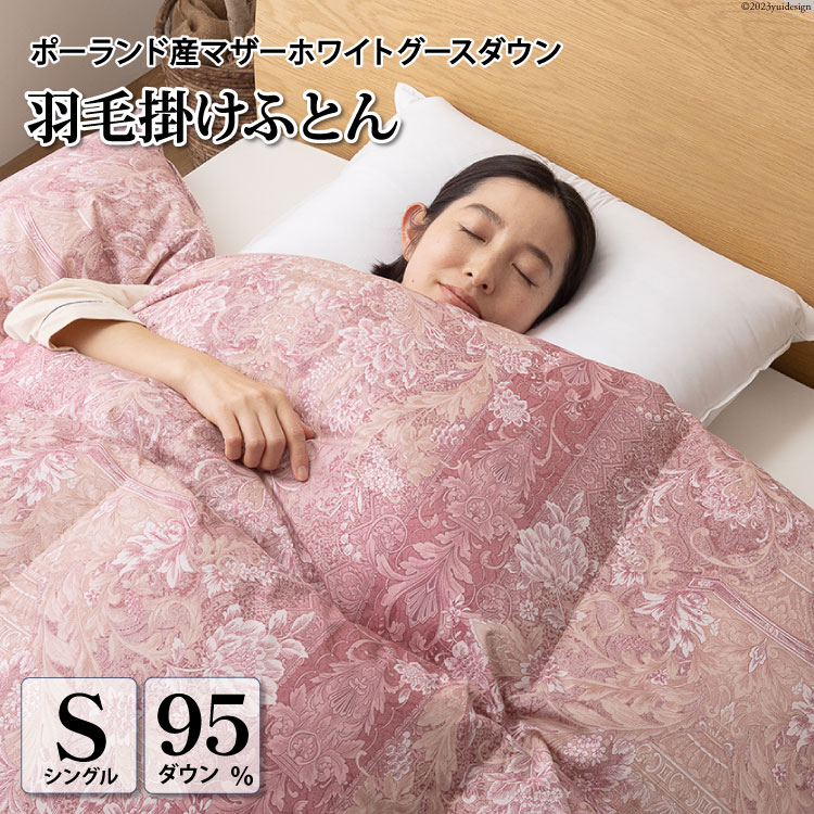 Hѕzc VO }U[O[X _E 951.2kg |[hY 80ԎTe (A[`FsN) {| / 쑺H / R Bs [20743606] H zc HтӂƂ {|zcRBs4000