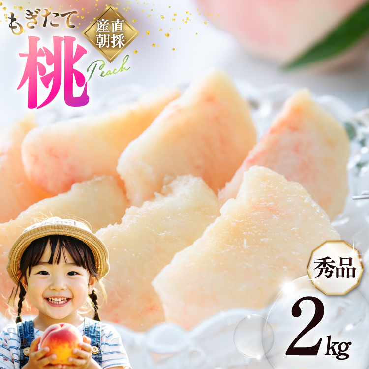 【2026年発送】桃 山梨 秀品 朝どれ 大玉 約 2.0kg 4〜6玉 朝獲れ もぎたて もも モモ フルーツ 果物 山梨県産 産地直送 期間限定 季節限定 冷蔵 農家直送 白鳳 夢みずき 浅間白桃 なつっこ 紅く