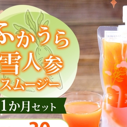 ふかうら雪人参スムージー 1か月 セット 150g×30個 雪人参 スムージー にんじん 人参 栄養機能食品 スパウト付 スタンドパウチタイプ 手軽 栄養補給 ビタミンA βカロテン 青森県 深浦町青森