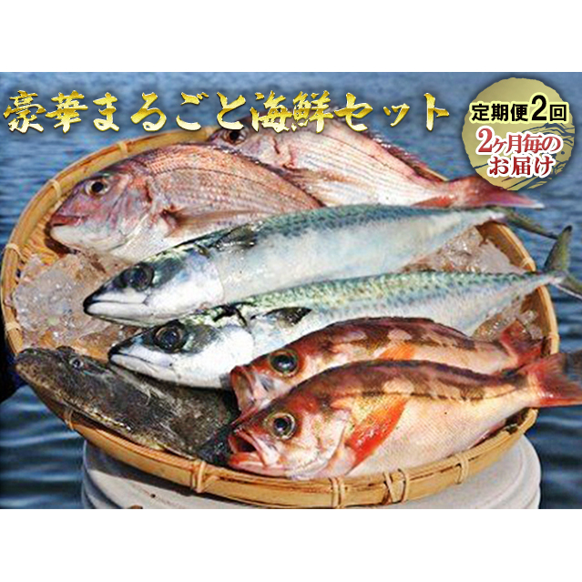 豪華まるごと海鮮セット定期便2回お届け 魚介類 海の幸 お楽しみ 丸ごと 切り身 詰め合わせ 青森県深浦町40000魚介・海産物鮮魚