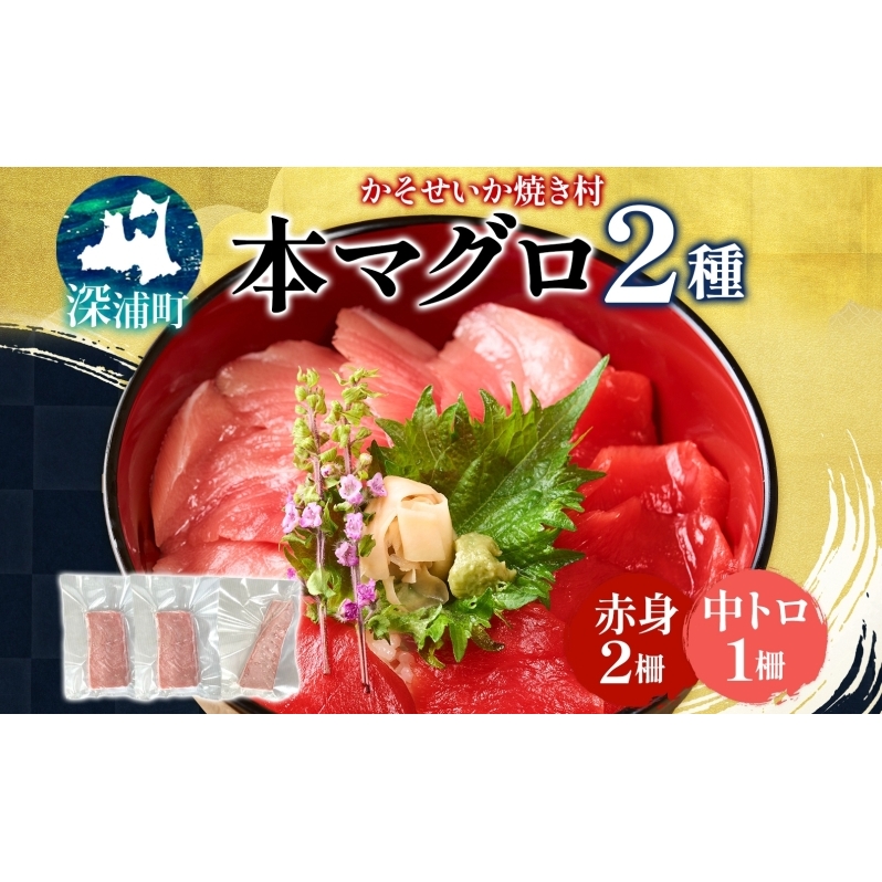 本マグロ 赤身 2柵 中トロ 1柵 セット 国産 本鮪 まぐろ マグロ クロマグロ 鮪 刺身 丼ぶり 寿司 海鮮 魚介 贅沢 お取り寄せ 詰め合わせ グルメ 産地直送  冷凍 道の駅 青森県 深浦町青森県深