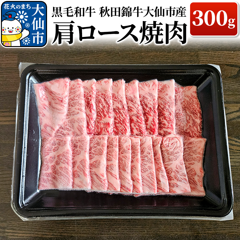 јa HcыsY [Xē 300g Hcs19000