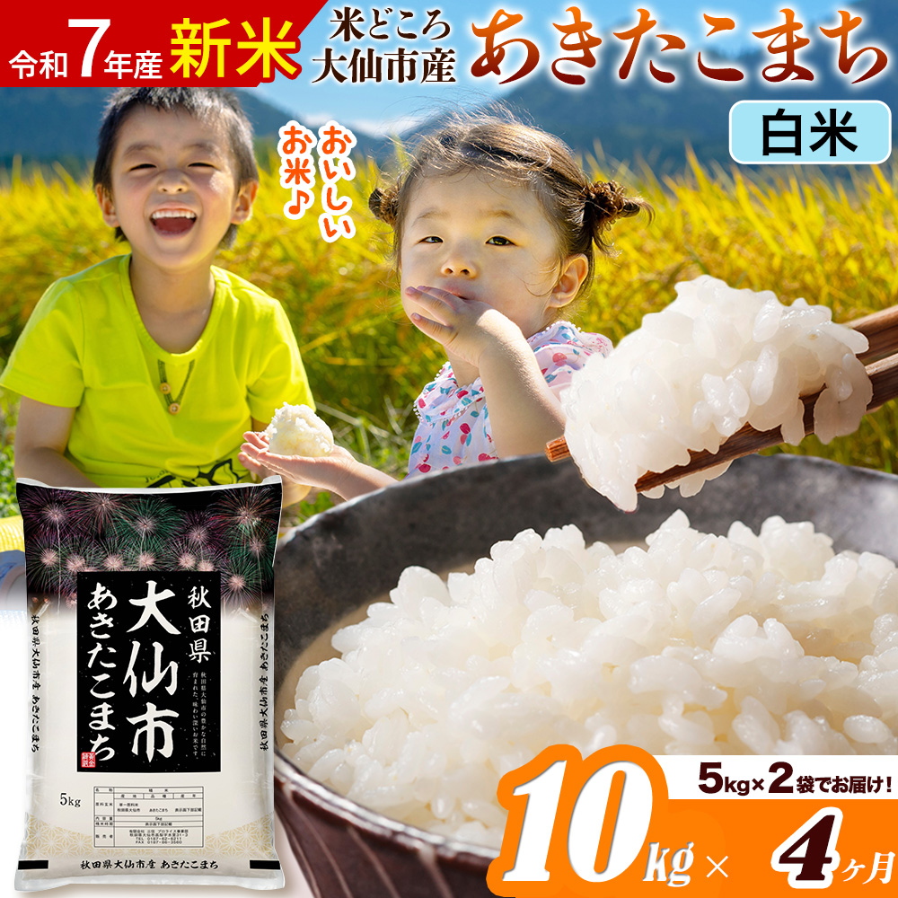新米 令和7年産《定期便4ヶ月》米【白米】米どころ秋田県大仙市産 あきたこまち 精米 10kg(5kg×2袋)秋田県大仙市102000米・パン白米