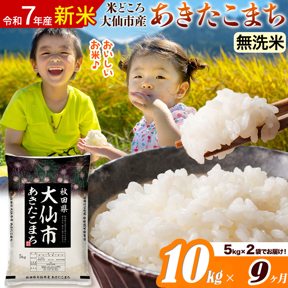 新米 令和7年産《定期便9ヶ月》米【無洗米】米どころ秋田県大仙市産 あきたこまち 10kg(5kg×2袋)秋田県大仙市229500米・パン無洗米