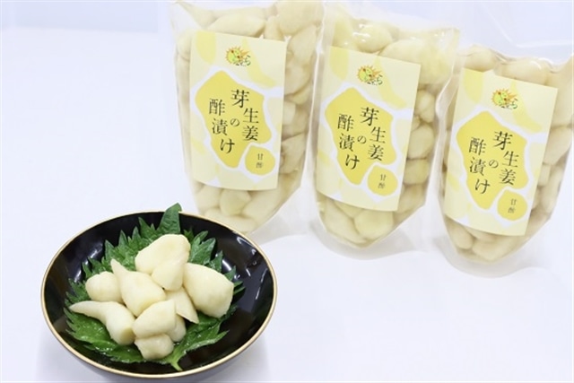 芽生姜の甘酢漬け  3パック高知県いの町14000野菜・きのこ
