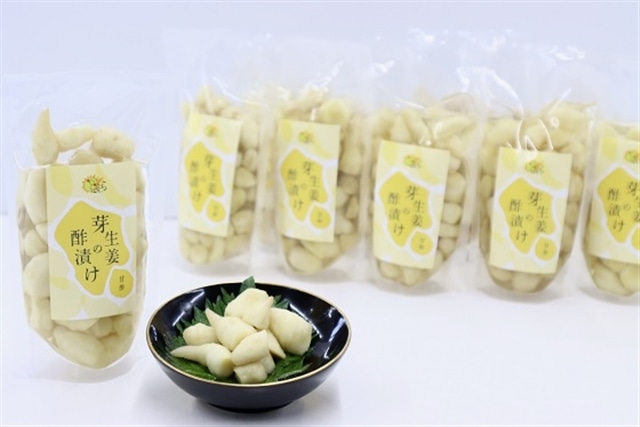 芽生姜の甘酢漬け 10パック高知県いの町42000野菜・きのこその他 野菜