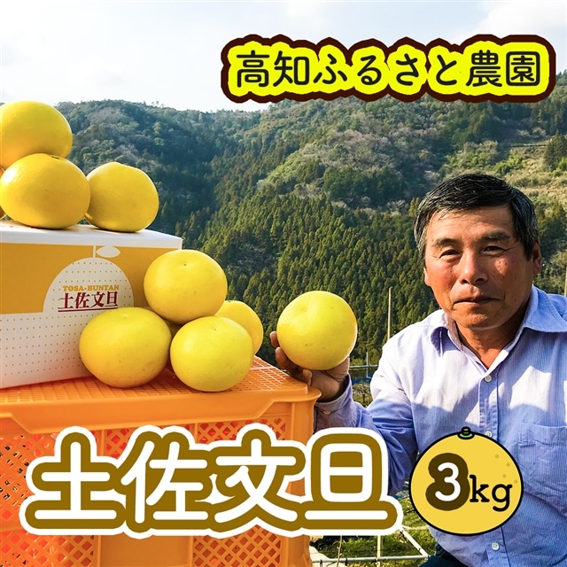 土佐文旦贈答用約3kg(高知ふるさと農園)高知県いの町13000果物・フルーツみかん・柑橘類