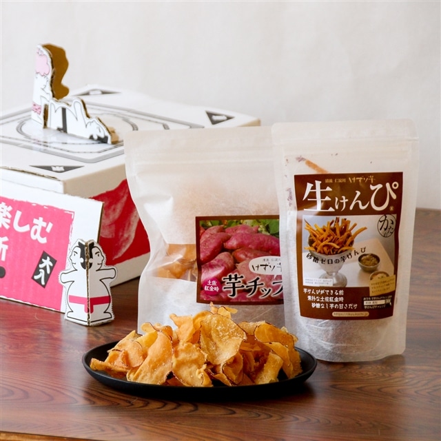 利休 とんとん紙相撲と生けんぴのセット高知県いの町9000菓子・スイーツ