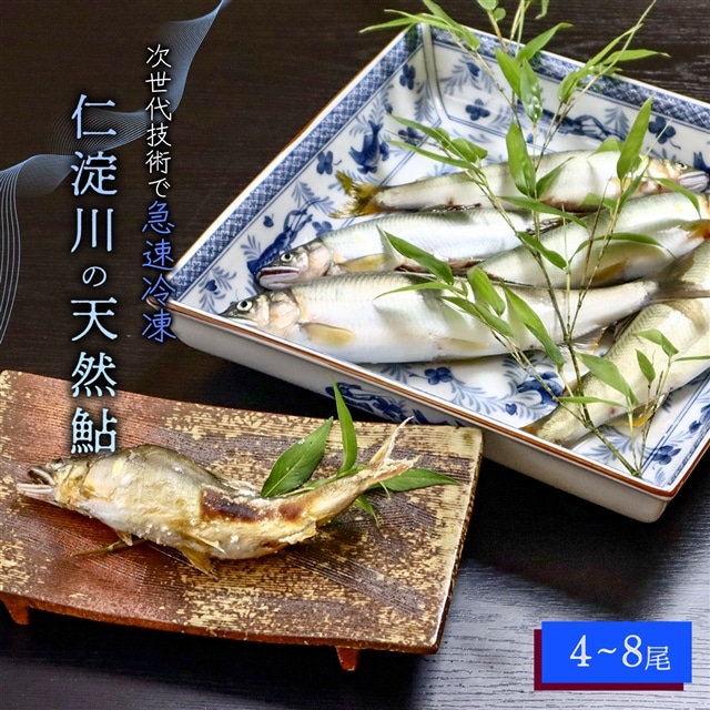仁淀川の天然鮎(4匹〜8匹)★冷凍高知県いの町24000魚介・海産物その他 魚介・海産物