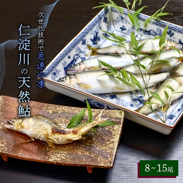 仁淀川の天然鮎(8匹〜15匹)★冷凍高知県いの町40000魚介・海産物その他 魚介・海産物
