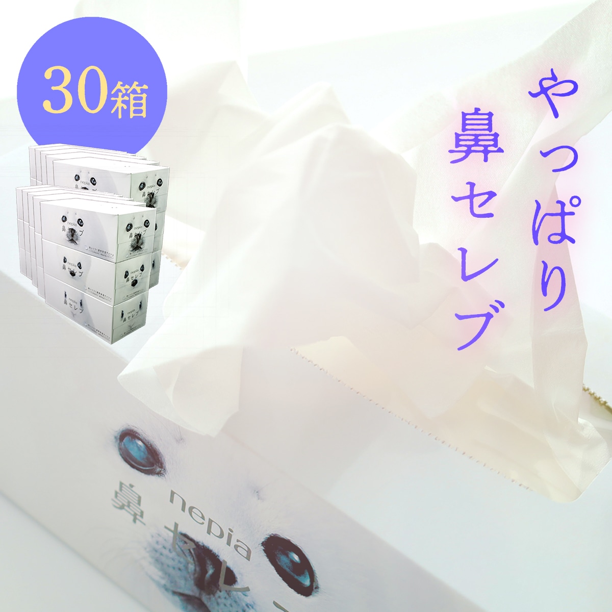 ネピア 鼻セレブボックスティッシュ （30箱）の返礼品詳細 | JR東日本 
