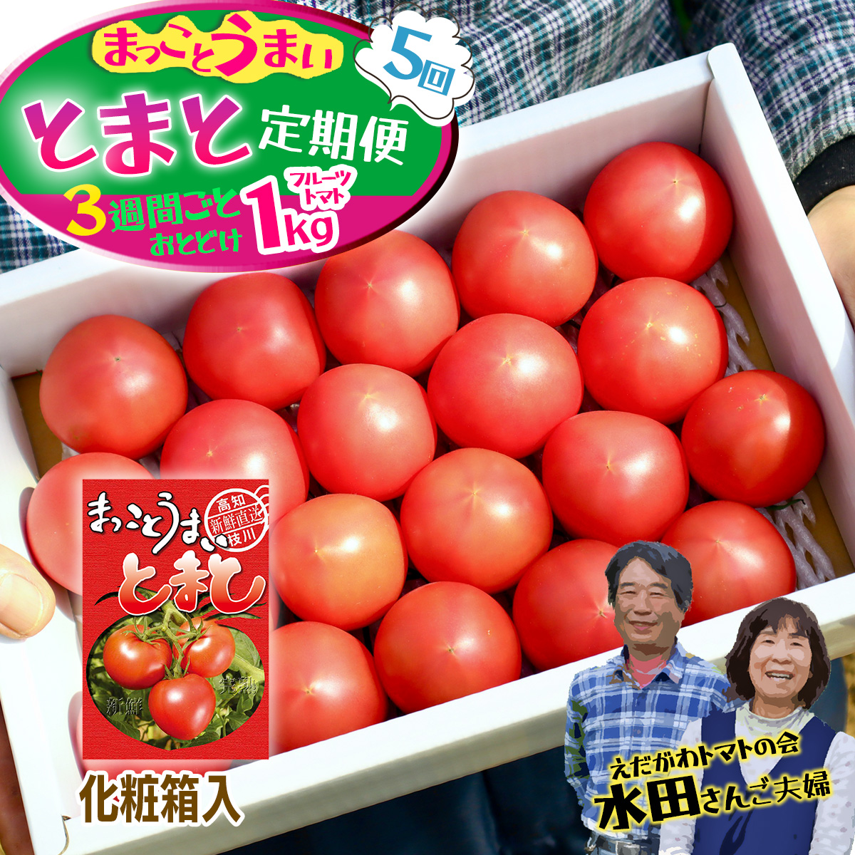 【数量限定】まっことうまい!水田さんのフルーツトマト1kg定期便(3週間ごとお届け・全5回 / 化粧箱入)高知県いの町54000野菜・きのこトマト