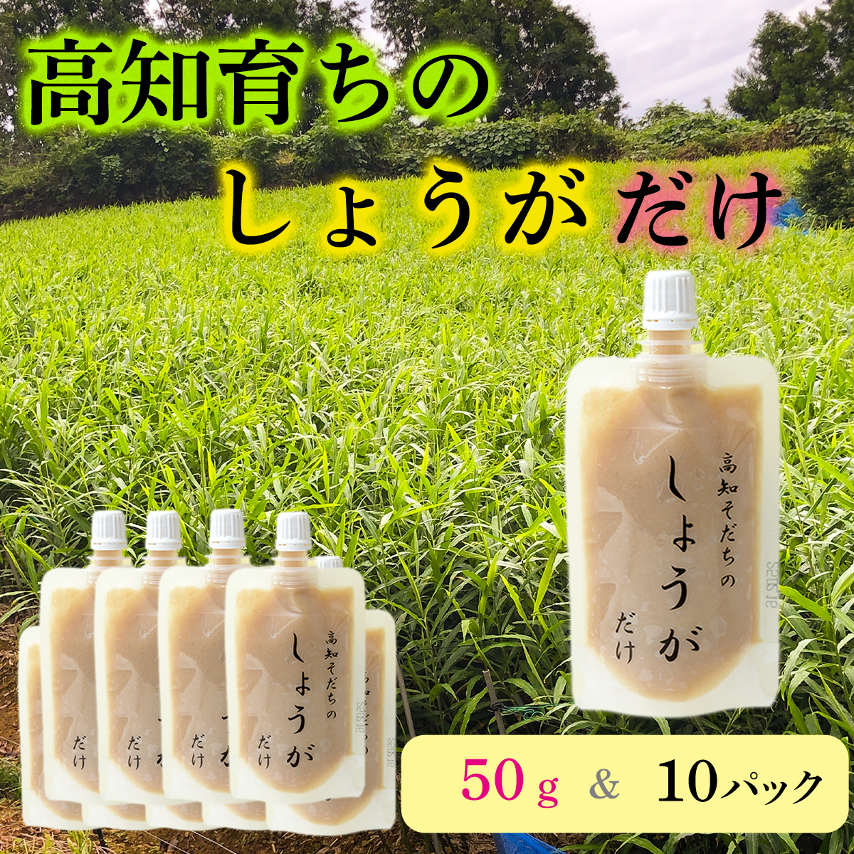 高知そだちのしょうがだけ(50g×10パック)高知県いの町21000調味料・油その他 調味料・油