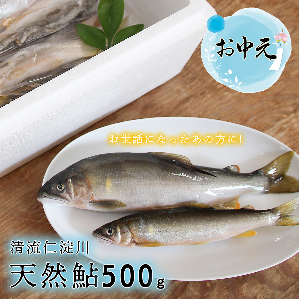 @tbV}[gLVg̓VRiⓀj500gm̒16000ECY̑ ECY