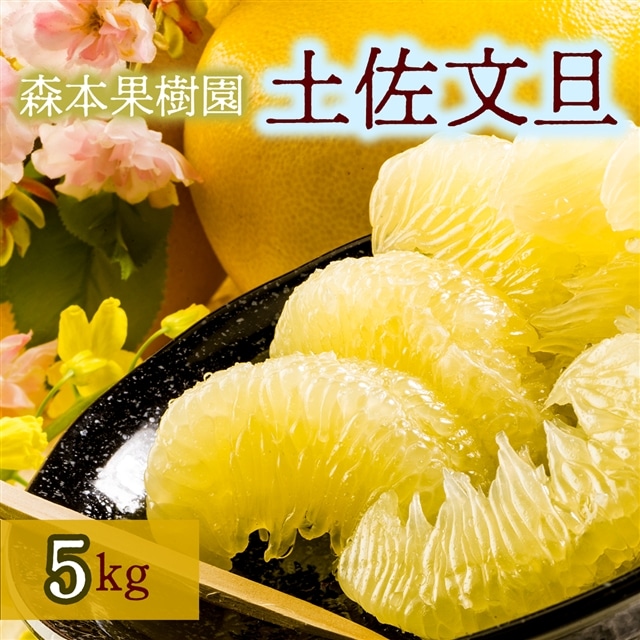 土佐文旦家庭用5kg(森本果樹園)高知県いの町18000果物・フルーツみかん・柑橘類