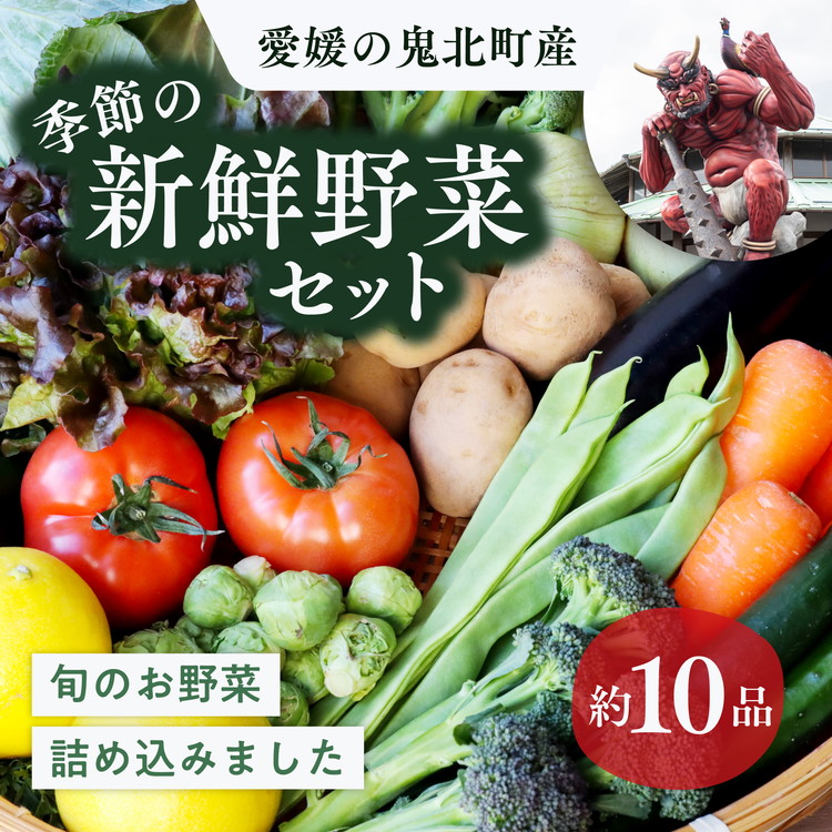 Sk̑n񂾐VN؁IG߂̐VN؋lߍ킹@ ₳ lߍ킹 VN { G Q SkQSk15000؁Ê̑ 