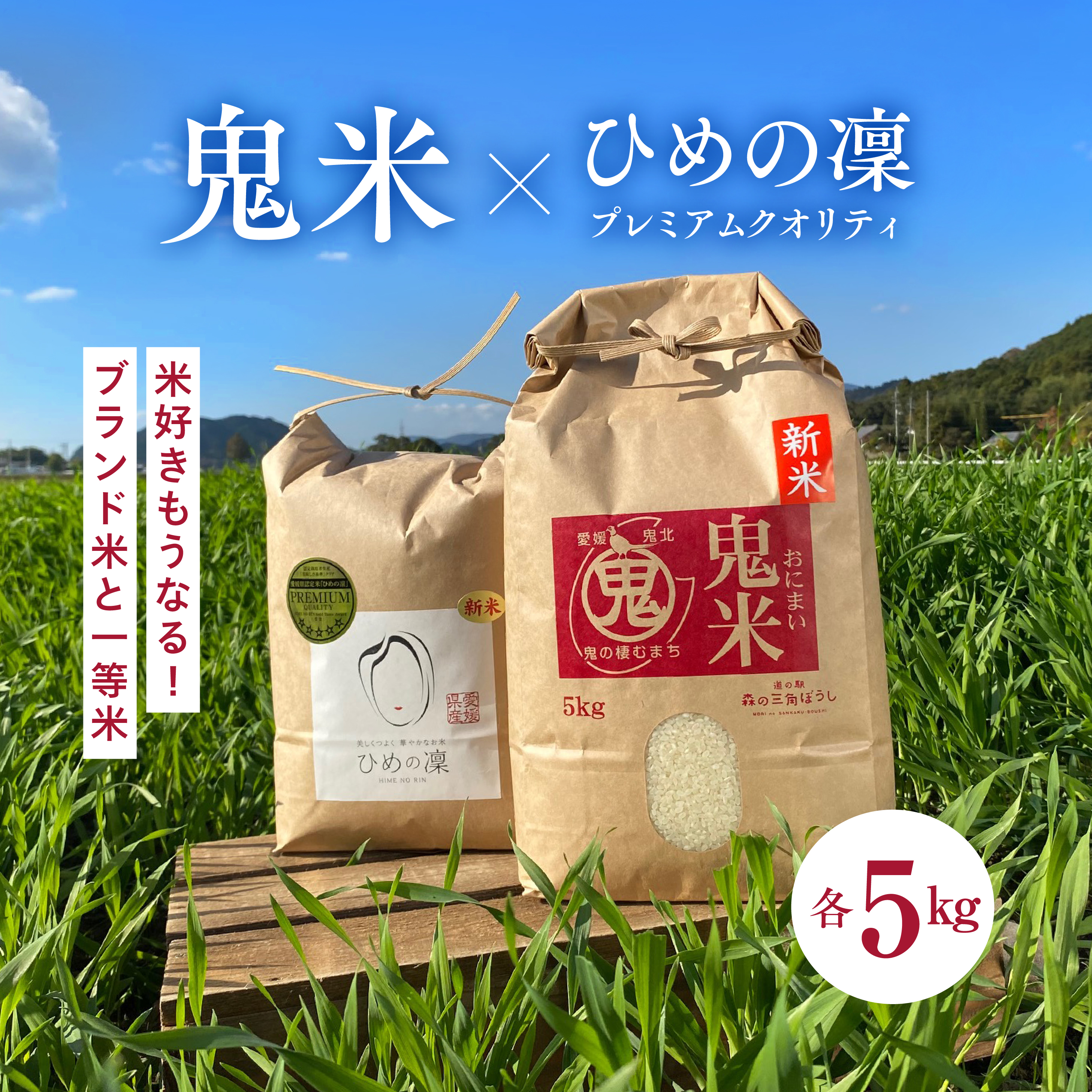 【R7年産】鬼米×ひめの凛(プレミアムクオリティ) 各5kg (計10kg) | お米 お米不足 お米品薄 おいしい お米 事業者支援  白米 精米 国産 限定 ごはん ご飯 白飯 ゴハン 愛媛県産 鬼北町 ※2