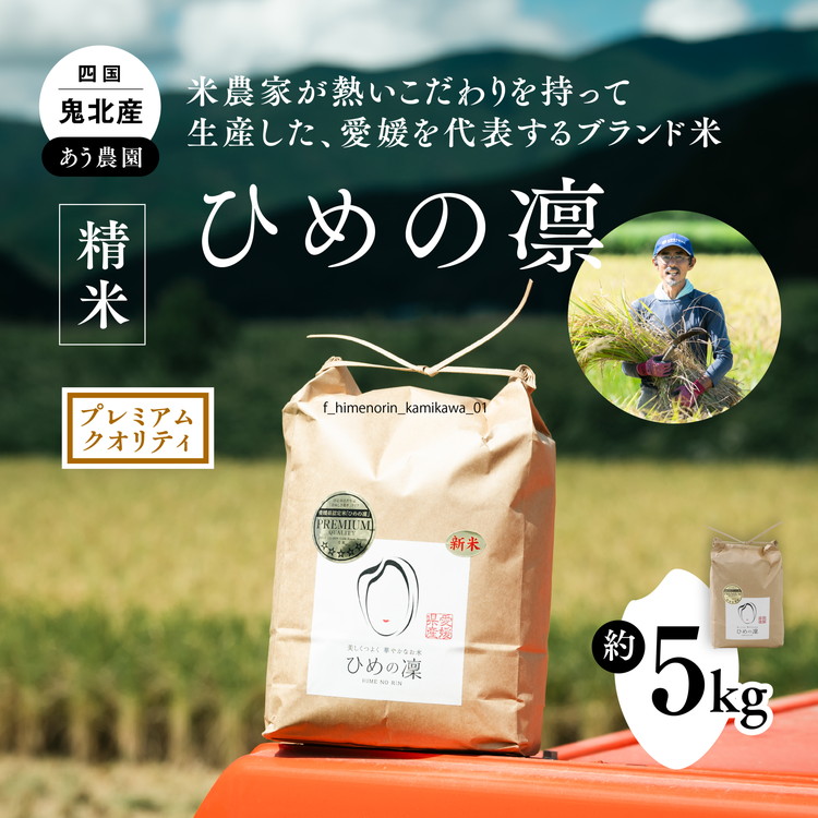 先行予約】【R7年産】【愛媛県ブランド】ひめの凛 5kg