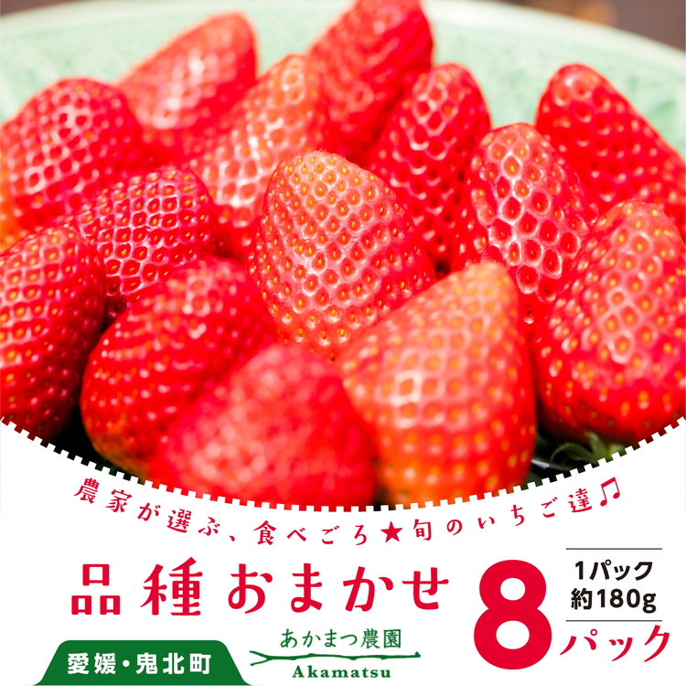 【2026年春収穫分】【先行受付】【品種お任せ】 いちご8パック | レッドパール 紅い雫 紅ほっぺ かおり野 イチゴ 苺 フルーツ あかまつ農園 ※2026年2月中旬〜3月中旬頃に順次発送予定愛媛
