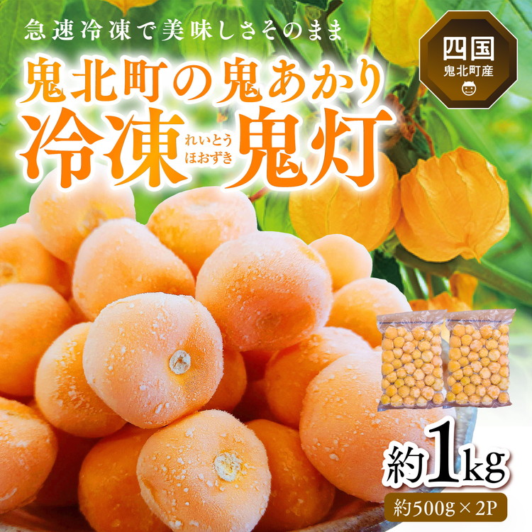 冷凍鬼あかり(ほおずき)500g×2パック<鬼灯 ホウズキ 特産品 冷凍 フルーツ ジャム 愛媛県 鬼北町>愛媛県鬼北町15000果物・フルーツその他 果物・フルーツ