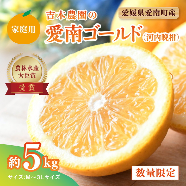 【先行予約】吉本農園の愛南ゴールド(河内晩柑)家庭用約5kg <柑橘 希少 果物 国産 フルーツ みかん 蜜柑  家庭用 和製 グレープフルーツ ブランド 果実 ビタミン 愛媛県 鬼北町 > ※2025
