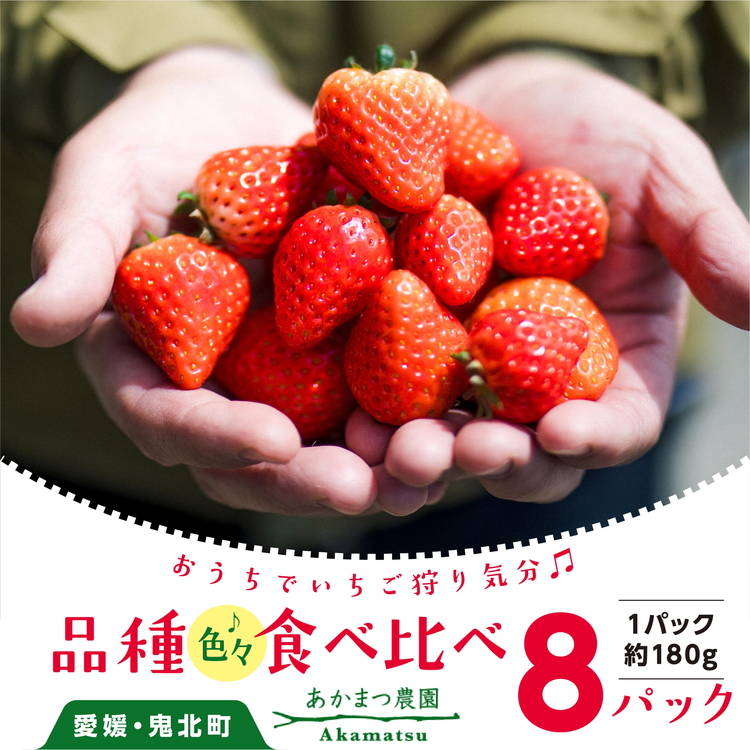 【2026年春収穫分】【先行受付】【食べ比べ】 いちご8パック | レッドパール 紅い雫 紅ほっぺ かおり野 イチゴ 苺 フルーツ あかまつ農園 ※2026年2月中旬〜3月中旬頃に順次発送予定愛媛県