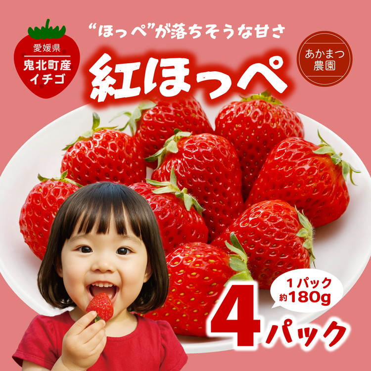 【2026年春収穫分】【先行予約】紅ほっぺ 4パック(約720g) | いちご イチゴ 苺 大福 ジャム タルト アイス ケーキ ギフト あかまつ農園 ※離島への配送不可 ※2026年2月中旬頃より順次発送予