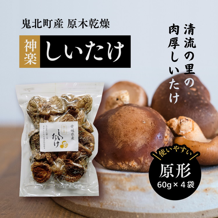【神楽しいたけ】原木乾燥しいたけ(原形 60gx4)<きのこ しいたけ 原木 乾燥しいたけ 肉厚  特産品 愛媛県 鬼北町>愛媛県鬼北町13000野菜・きのこきのこ