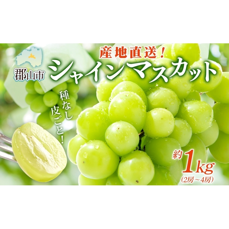 VC}XJbg 1kg 2[`4[ Ԃǂ uhE  Ȃ 嗱 ʕ t[c  ʎ fU[g Â F { x 蕨   Yn  щʎ  SRs