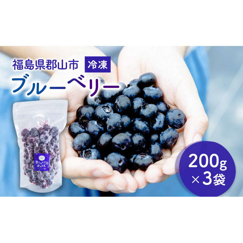 冷凍ブルーベリー200g×3袋(600g) 果物詰合せ フルーツ 福島県郡山市9000果物・フルーツその他 果物・フルーツ