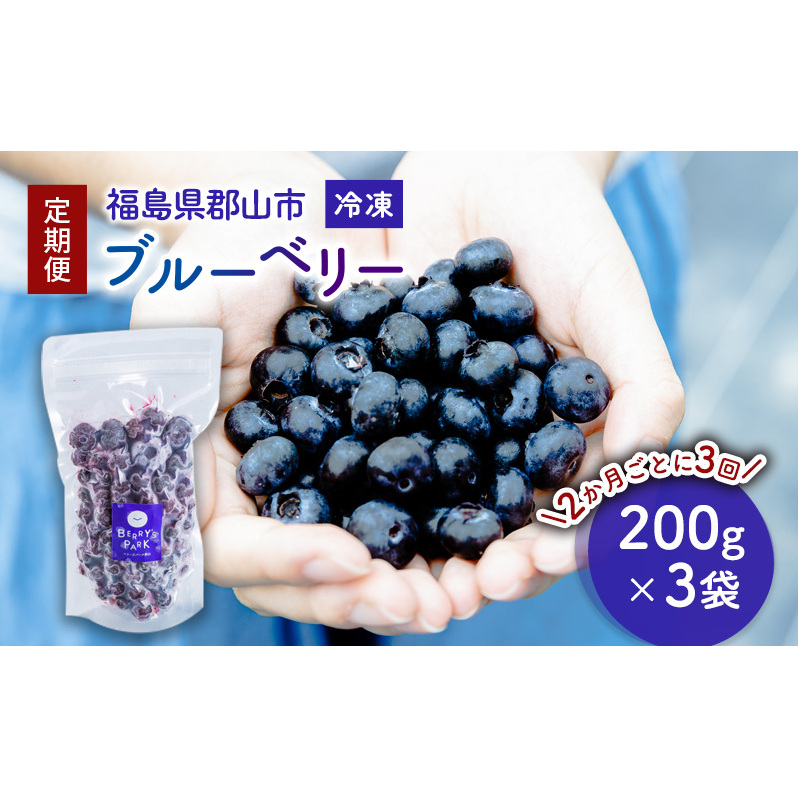 【定期便】冷凍ブルーベリー600gを2か月ごと3回 果物詰合せ フルーツ 福島県郡山市25000果物・フルーツその他 果物・フルーツ