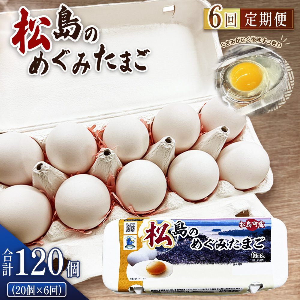 ̂߂݂܂ 20 6֋{錧23000Eii{AG{j