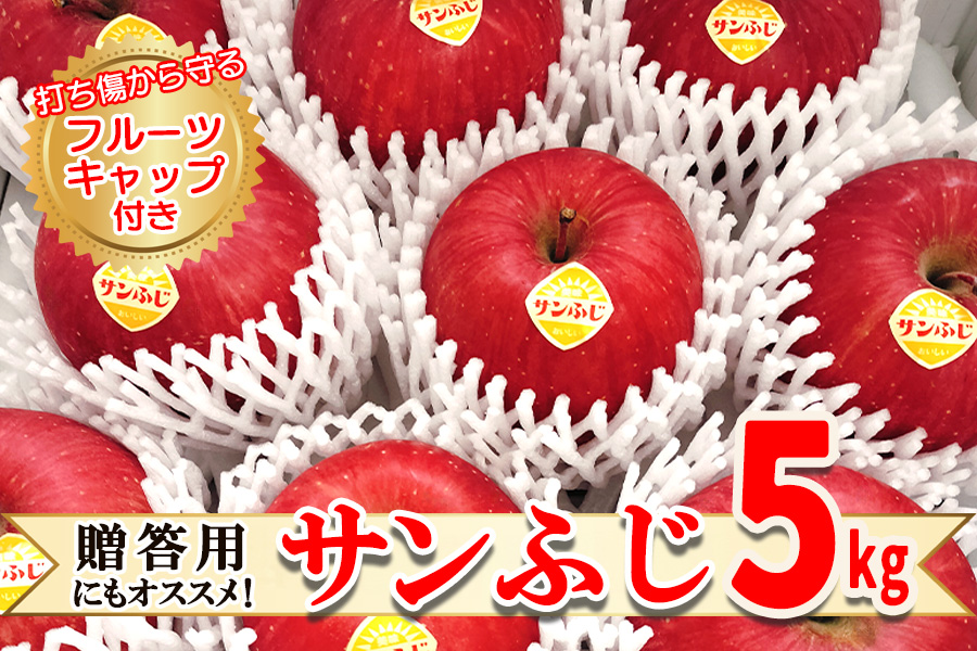 高橋りんご園 『サンふじ』5kg(12〜14玉) フルーツキャップ付き 贈答用にもオススメ!岩手県矢巾町20000果物・フルーツ